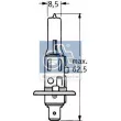 Ampoule, projecteur longue portée DT 9.78109 - Visuel 1