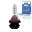 Ampoule, projecteur principal DT 9.78113 - Visuel 1
