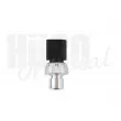 Pressostat, climatisation HITACHI 131906 - Visuel 1