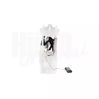 Unité d'injection de carburant HITACHI 132789