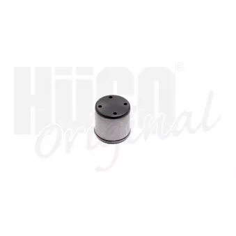 Pilon, Pompe à haute pression HITACHI 133059
