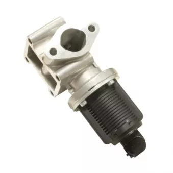 Vanne EGR HITACHI 138480