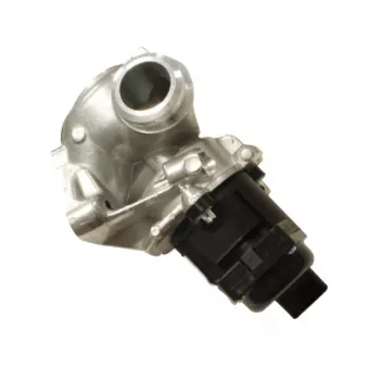 Vanne EGR HITACHI 138481