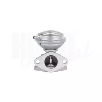 Vanne EGR HITACHI 2505960