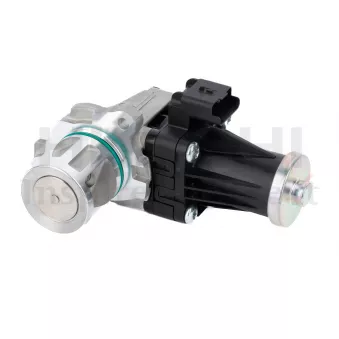 Vanne EGR HITACHI 2505964