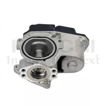 Vanne EGR HITACHI 2508460