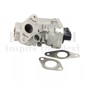 Vanne EGR HITACHI 2508468