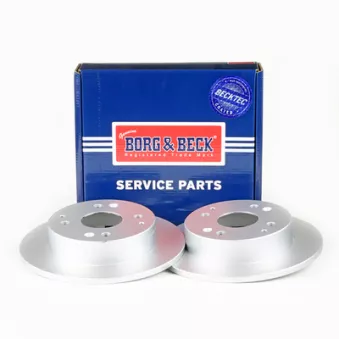 Jeu de 2 disques de frein arrière BORG & BECK BBD5071