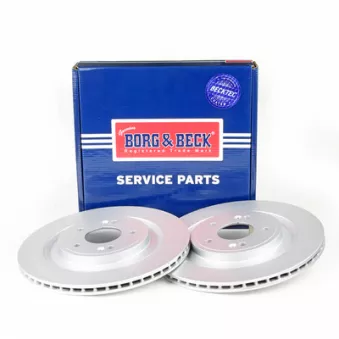 Jeu de 2 disques de frein arrière BORG & BECK BBD5654