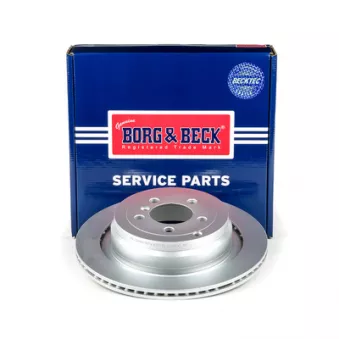 Jeu de 2 disques de frein arrière BORG & BECK BBD5822S