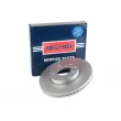 Jeu de 2 disques de frein avant BORG & BECK BBD5901S - Visuel 1