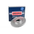 Jeu de 2 disques de frein avant BORG & BECK BBD5969S - Visuel 1