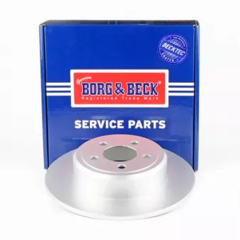 Jeu de 2 disques de frein arrière BORG & BECK BBD6053S