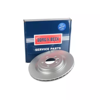 Jeu de 2 disques de frein arrière BORG & BECK BBD6107S
