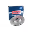 Jeu de 2 disques de frein avant BORG & BECK BBD6190S - Visuel 1