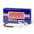 Flexible de frein BORG & BECK BBH7798 - Visuel 1