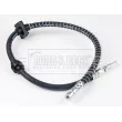 Flexible de frein BORG & BECK BBH7846 - Visuel 3
