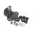 Rotule de suspension BORG & BECK BBJ5278 - Visuel 2