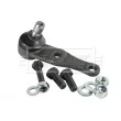 Rotule de suspension BORG & BECK BBJ5401 - Visuel 2