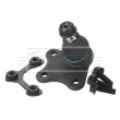 Rotule de suspension BORG & BECK BBJ5416 - Visuel 2