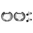Kit de freins arrière (prémontés) BORG & BECK BBS1092K - Visuel 2