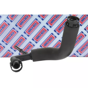 Tuyau, ventilation de carter-moteur BORG & BECK BEH1003