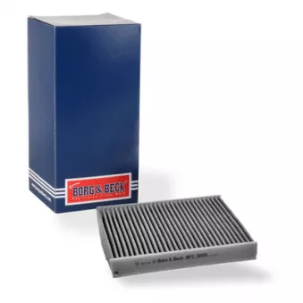 Filtre, air de l'habitacle BORG & BECK BFC1050