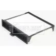 Filtre, air de l'habitacle BORG & BECK BFC1073 - Visuel 2