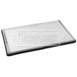 Filtre, air de l'habitacle BORG & BECK BFC1089 - Visuel 2