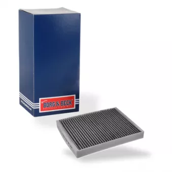 Filtre, air de l'habitacle BORG & BECK BFC1104