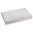 Filtre, air de l'habitacle BORG & BECK BFC1131 - Visuel 2