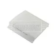 Filtre, air de l'habitacle BORG & BECK BFC1155 - Visuel 2