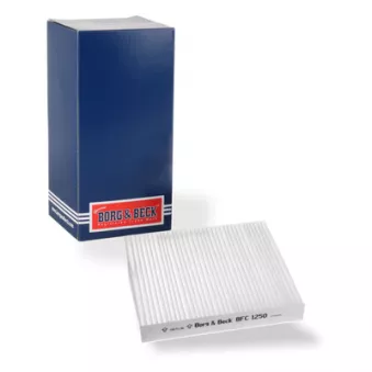 Filtre, air de l'habitacle BORG & BECK BFC1250