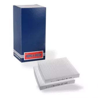 Filtre, air de l'habitacle BORG & BECK BFC1255