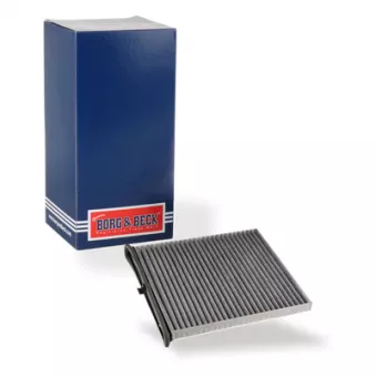 Filtre, air de l'habitacle BORG & BECK BFC1310