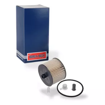 Filtre à carburant BORG & BECK BFF8017