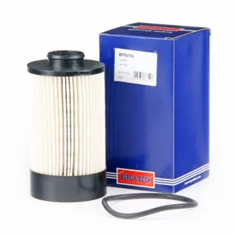Filtre à carburant BORG & BECK BFF8176
