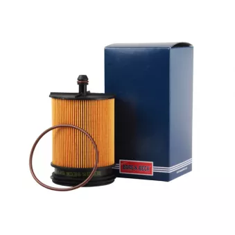 Filtre à carburant BORG & BECK BFF8309