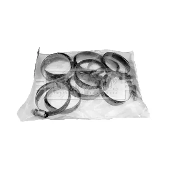 Bride de fixation, gaine de suralimentation BORG & BECK BHC1002