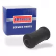 Silent bloc de suspension (train avant) BORG & BECK BSK6163 - Visuel 1