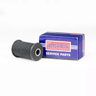 Coussinet de palier, ressort à lames BORG & BECK BSK6565