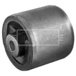 Silent bloc de suspension (train avant) BORG & BECK BSK7897 - Visuel 2