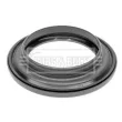 Appareil d'appui à balancier, coupelle de suspension BORG & BECK BSM5293 - Visuel 2