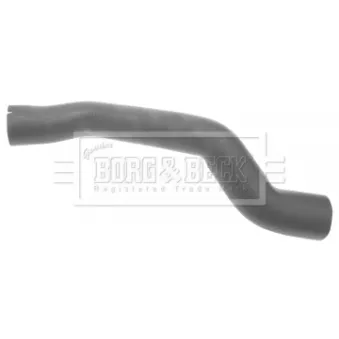 Gaine de suralimentation BORG & BECK BTH1001