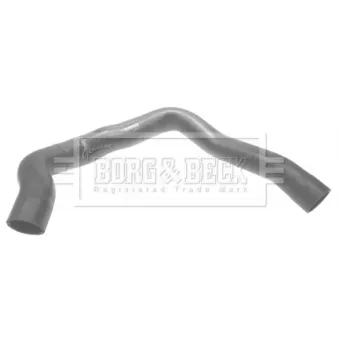 Gaine de suralimentation BORG & BECK BTH1003
