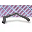 Gaine de suralimentation BORG & BECK BTH1003 - Visuel 2