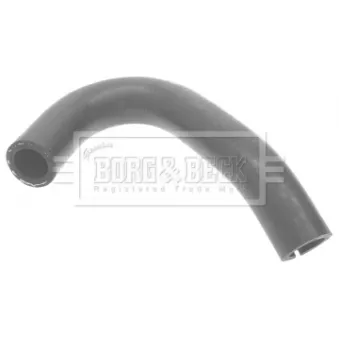 Gaine de suralimentation BORG & BECK BTH1005