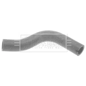 Gaine de suralimentation BORG & BECK BTH1006