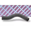 Gaine de suralimentation BORG & BECK BTH1006 - Visuel 2