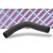 Gaine de suralimentation BORG & BECK BTH1007 - Visuel 2